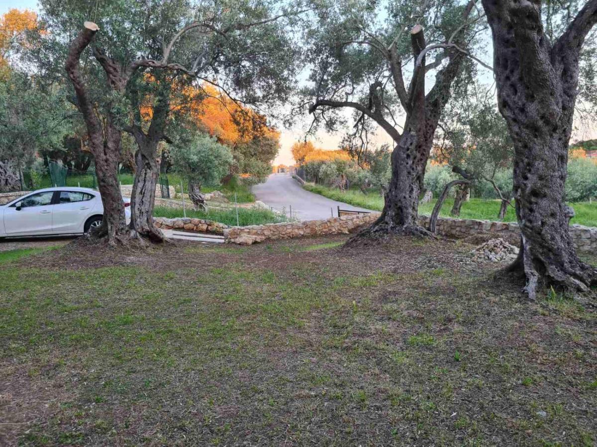 Olea Cottage Ulcinj Luaran gambar