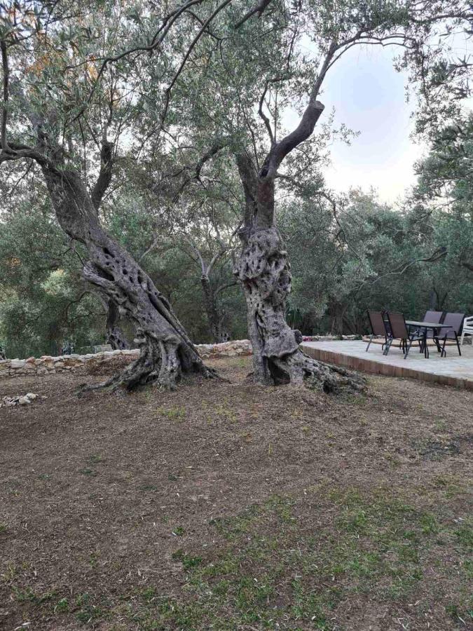 Olea Cottage Ulcinj Luaran gambar