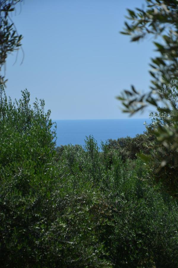 Olea Cottage Ulcinj Luaran gambar