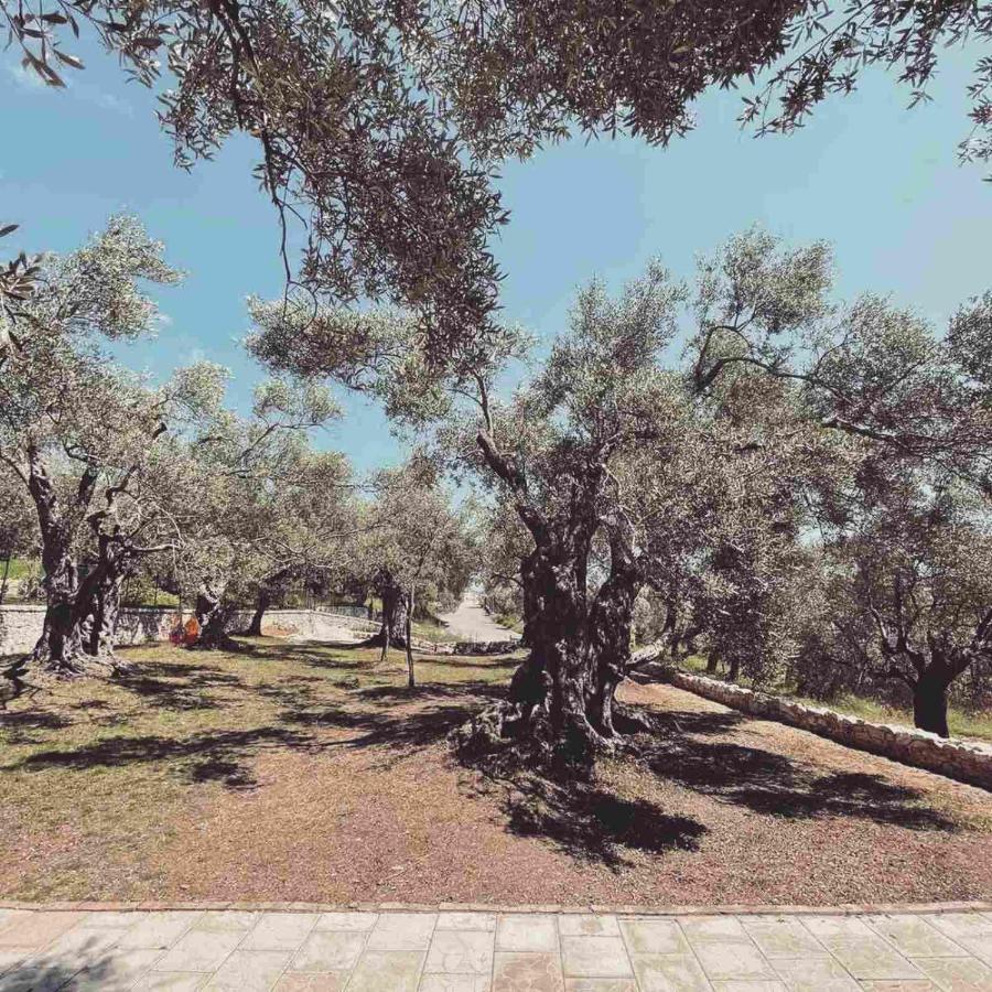 Olea Cottage Ulcinj Luaran gambar