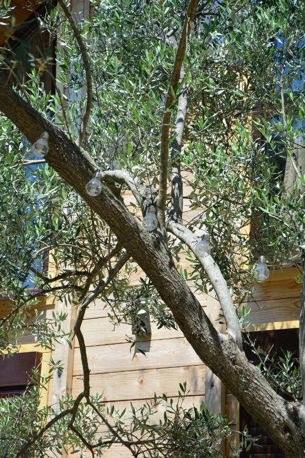 Olea Cottage Ulcinj Luaran gambar
