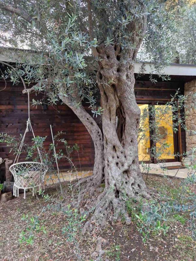 Olea Cottage Ulcinj Luaran gambar