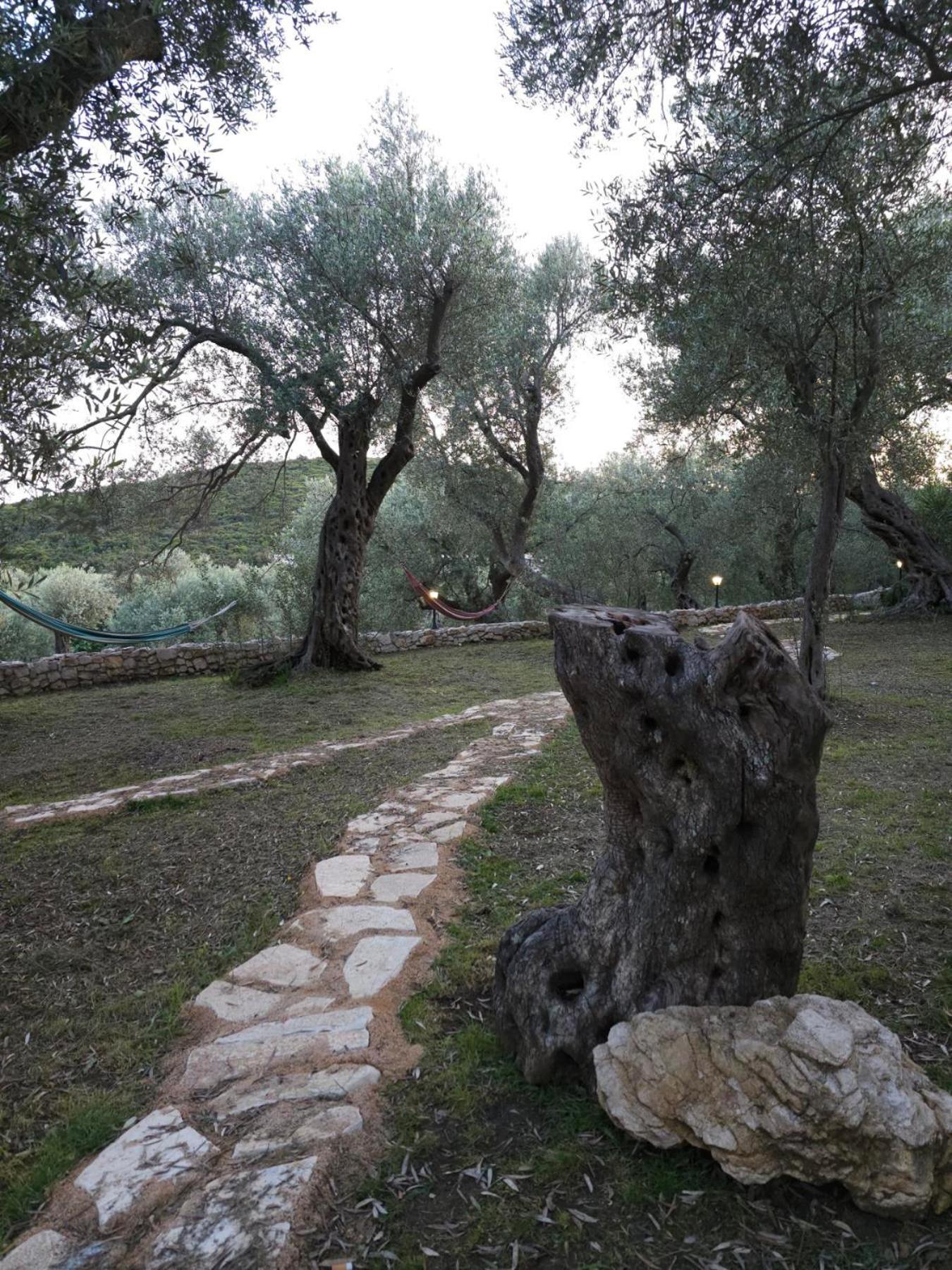 Olea Cottage Ulcinj Luaran gambar