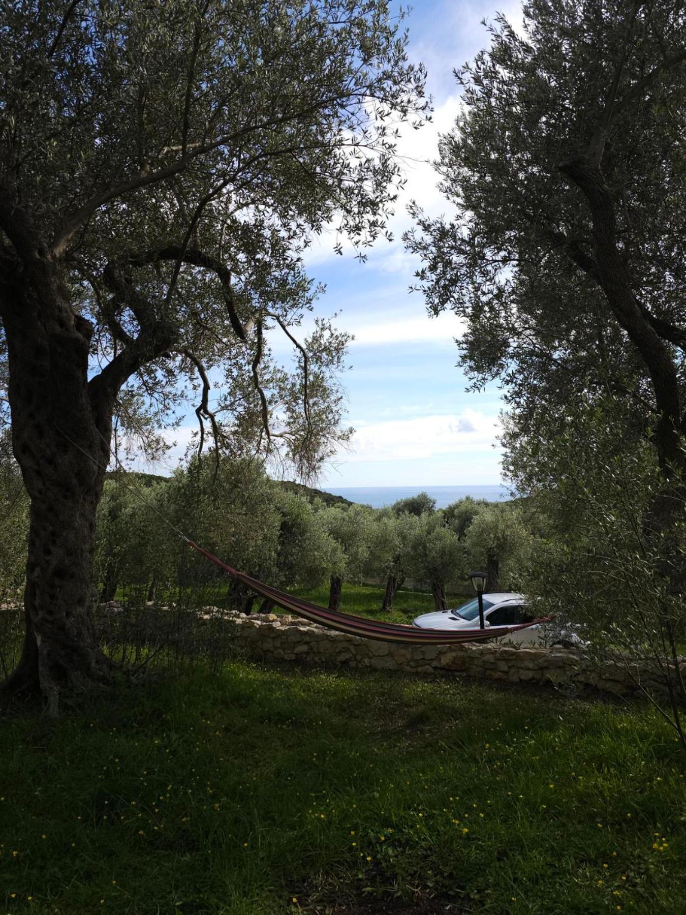 Olea Cottage Ulcinj Luaran gambar